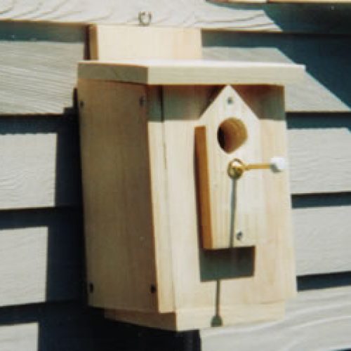 Bird House ($25 Value)