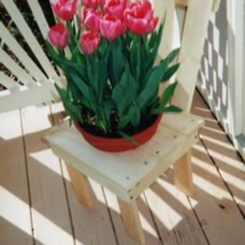 Sturdy Adirondack Style Potty Chair